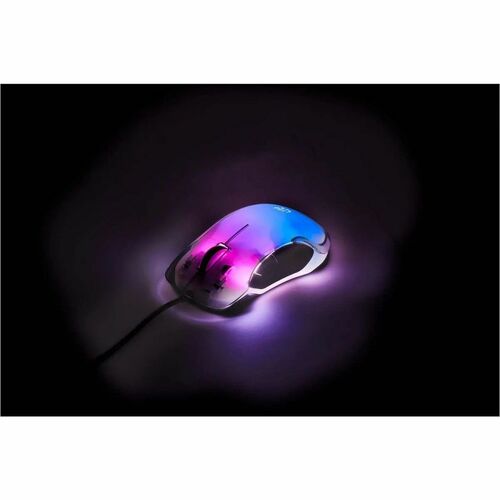 Mouse Manhattan - lateral