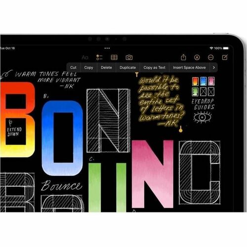 iPad trasera