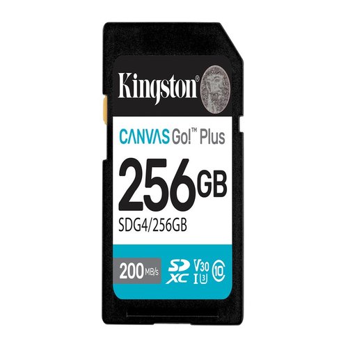 Kingston Canvas Go Plus 256GB
