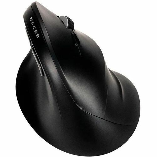 Mouse visto desde varios ángulos