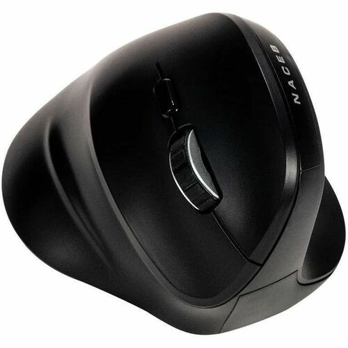Parte inferior del mouse