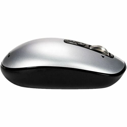 Mouse Naceb con receptor