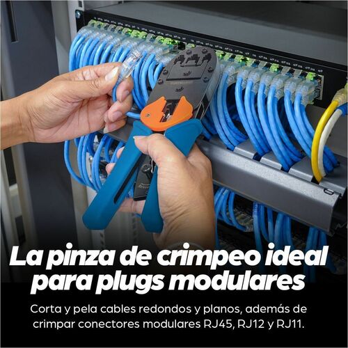 Mecanismo de trinquete