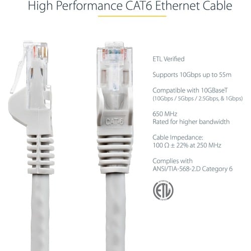 Conectores RJ45 dorados