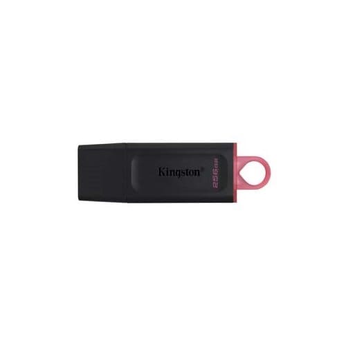 Kingston DataTraveler Exodia 256GB