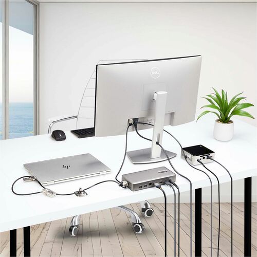 StarTech.com JUEGO DE CANDADO CABLE PARA COMPUTADORA Y PERIFERICOS - 3M - imagen 9