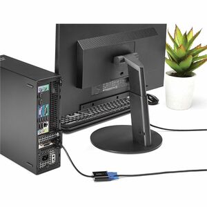 StarTech.com ADAPTADOR DISPLAYPORT A VGA 1920X1200-PAQUETE DE 5 UNIDADES - imagen 4