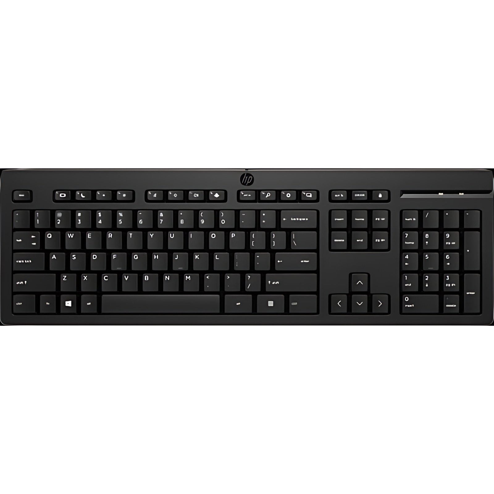 TECLADO ALAMBRICO HP 125 USB-A 180CM NEGRO 50 RECICLADO 1YW