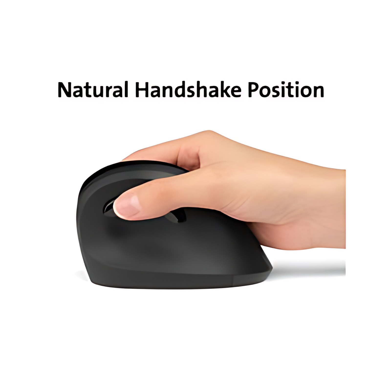 PRO FIT ERGO WIRED MOUSE