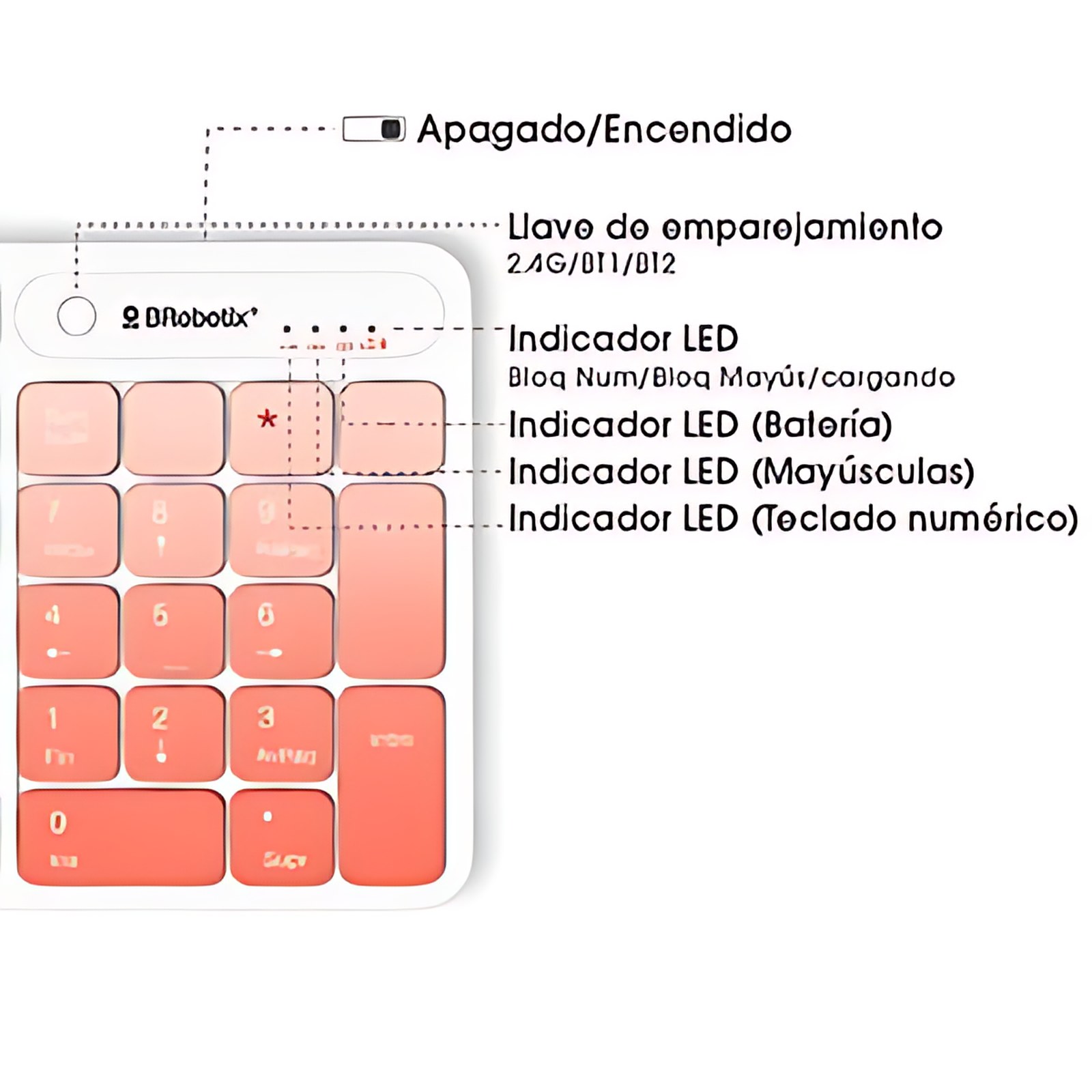 Brobotix Teclado Y Ratón Recargable, Inalámbrico En Español, Modelo Pink, Silencioso  – Conexión Dual Mode: Bluetooth + Receptor Usb 2.4ghz, Plug And Play -Compatible Con Windows® , Hp® , Lenovo®, Dell® , Asus®, Kit De Teclado Y Mouse, Keyboard / Keypad – Combo Mouse Y Ratón,teclado Y Mouse Inalámbrico Recargable.  Mouse Y Teclado Usb – Mouse óptico Con Teclado – Ratón, Pc Escritorio Laptop Notebook, Laptop, Notebook, Computadora.