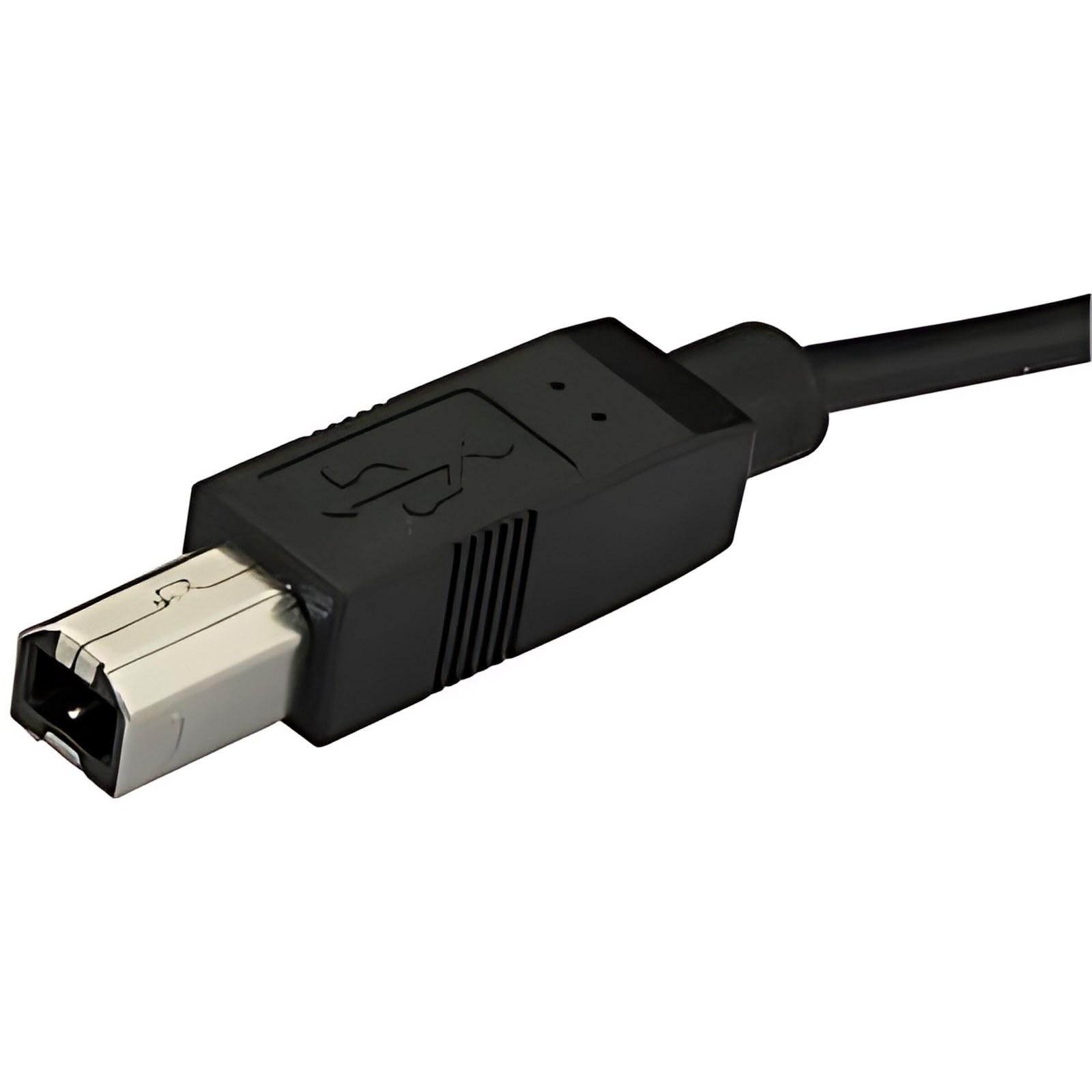 Startech.com Cable De 2m Usb-C A Usb B Macho A Macho – Cable Usb Tipo C A Usb B Usb 2.0 – Cable For Impresora, Tableta, Escáner, Portátil, Computador, Disco Duro Externo – 480mbit/S – Apantallado – Níquel Conector Chapado – 22/30 Awg – Negro