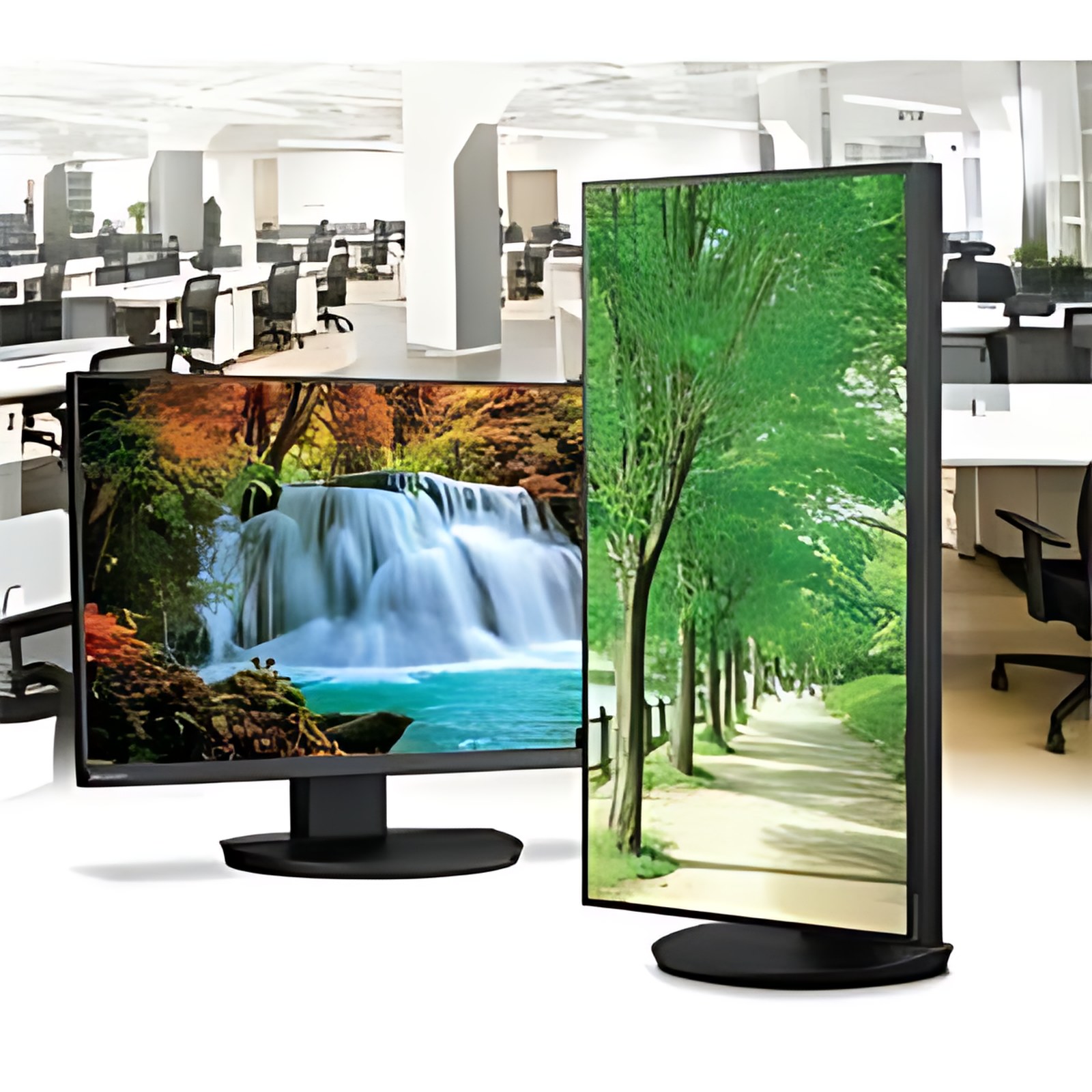 Monitor Led Sharp Nec Display Multisync Dd-Ea241f 24.0″ (61.0cm) Clase Full Hd – 16:9 – Negro – 23.8″ (60.5cm) Viewable – Tecnología Conmutación En El Mismo Plano (in-Plane Switching, Ips) – Wled Retroiluminación – 1920 X 1080 – 16,7 Millones De Colores – 250cd/M² – 6ms – 75hz Frecuencia De Actualización – Altavoces – Altura, Pivote, Inclinable, Giratoria – Hdmi – Vga – Displayport – Compatible Con Montura Vesa – Concentrador Usb