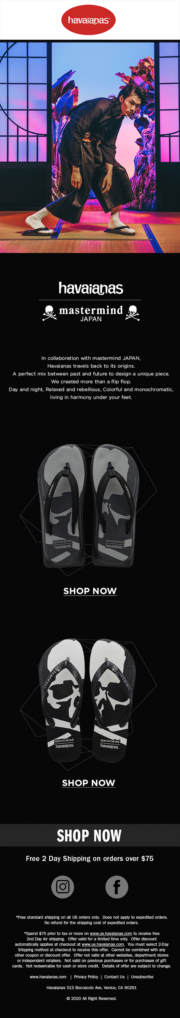 Havaianas × Mastermind Japan — Email Campaign