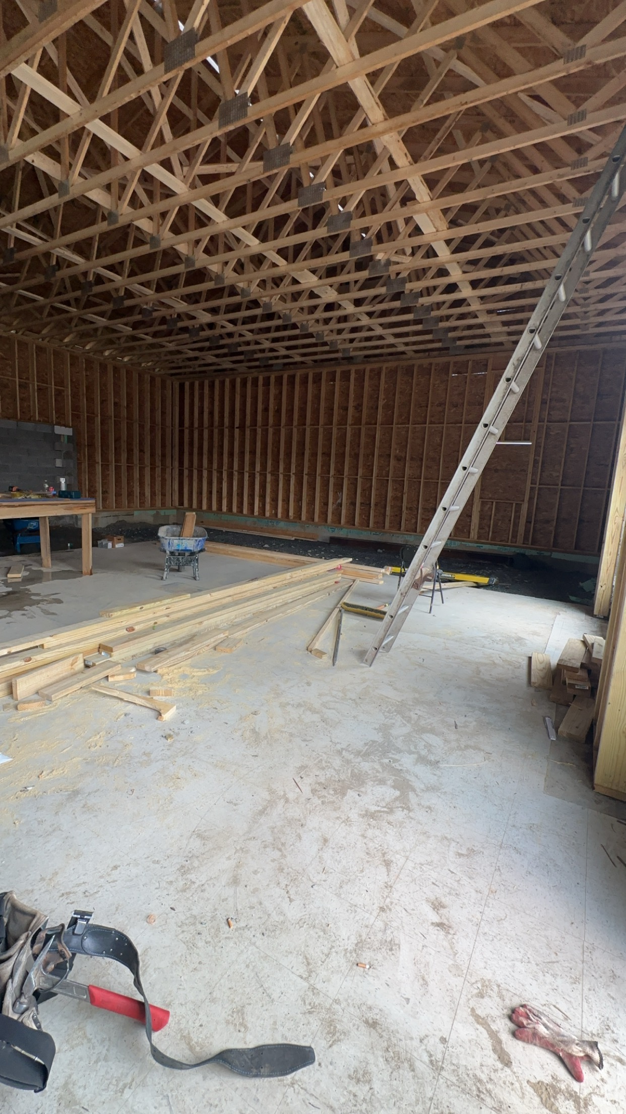 Commercial Project 1