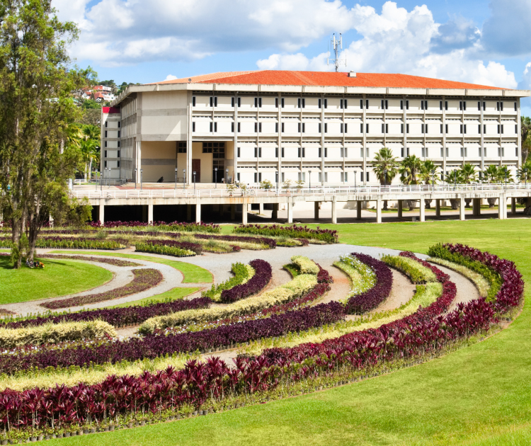 Cette image représente la licence écoles.