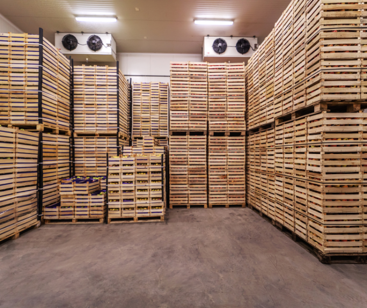 Cette image représente la licence entreposage - réfrigération.