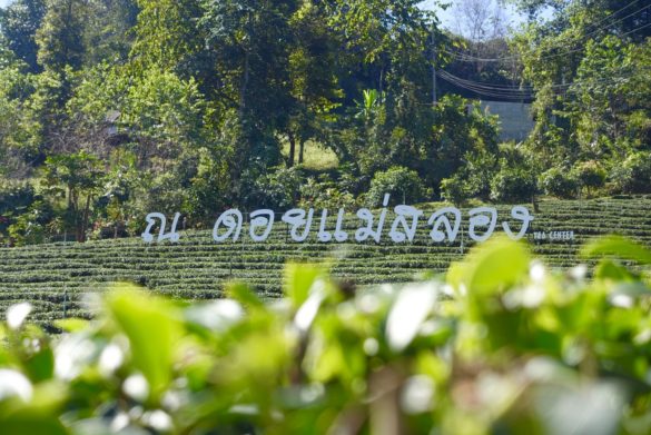 อุทยานน้ำพุร้อนพระเจ้า5พระองค์