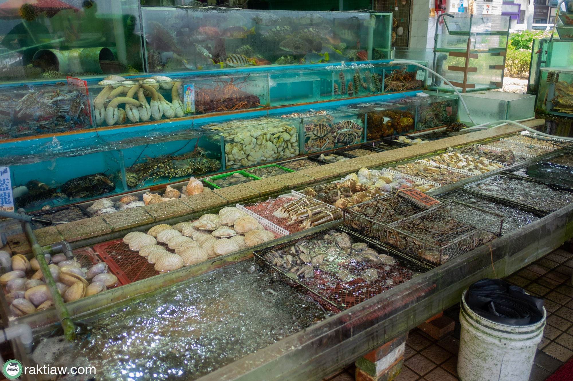 sai kung Hong Kong