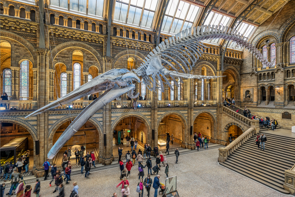 Natural History Museum