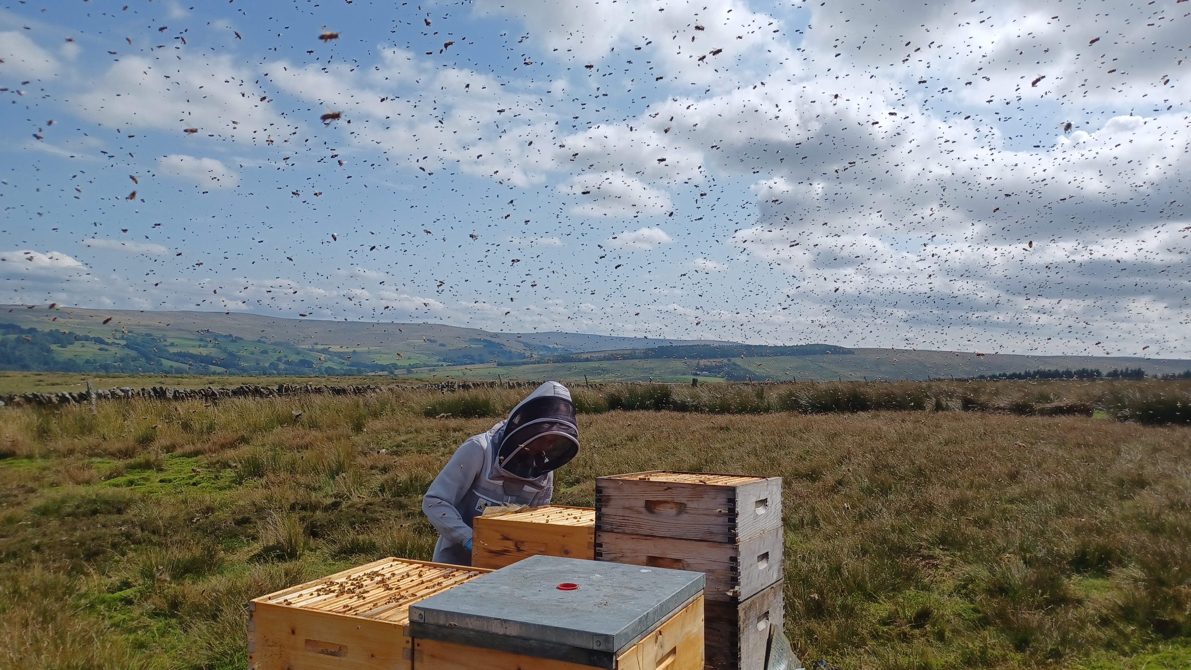 the-lake-district-honey-company