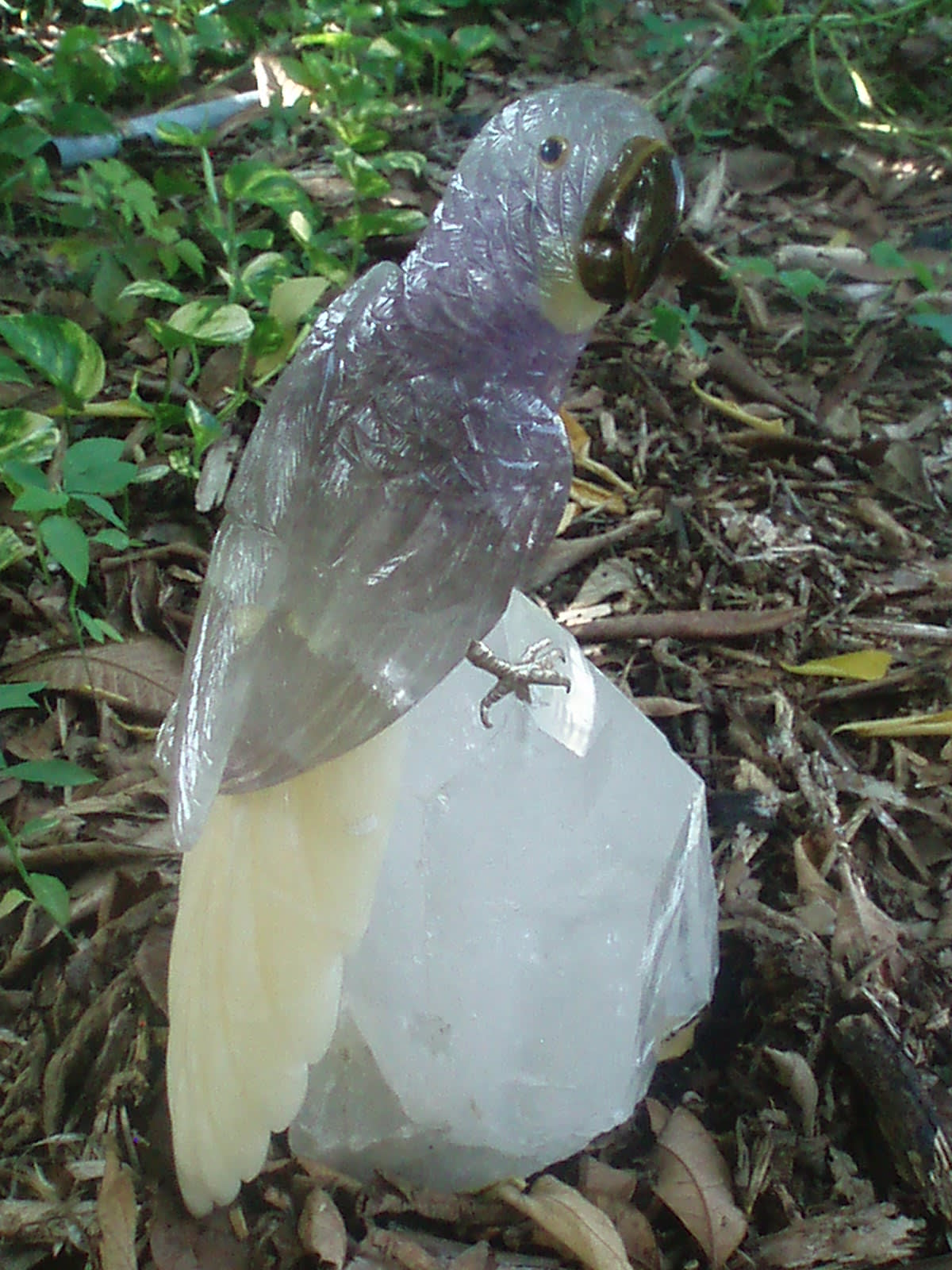 Amethyst Parrot