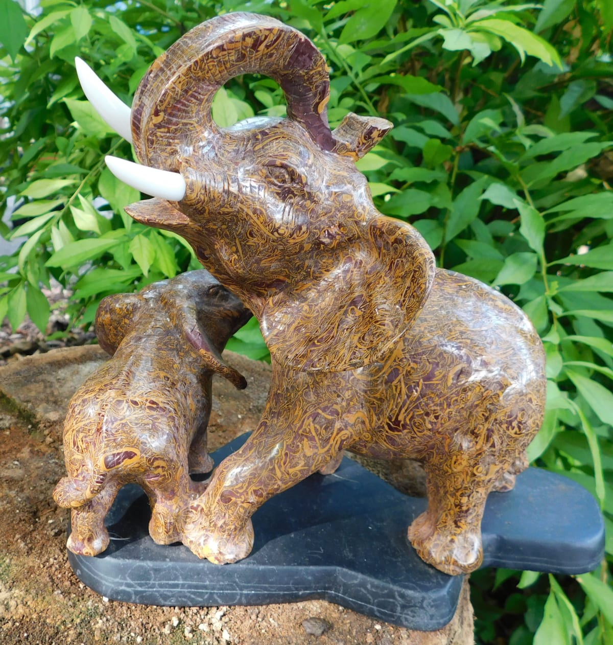 Jasper Mother Elephant and Calf