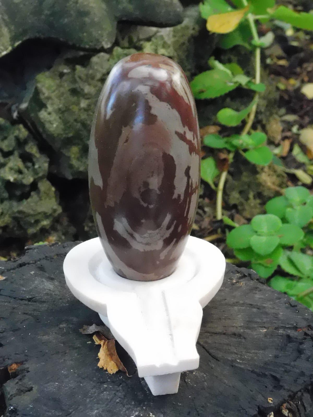 Shiva Lingam 6.5 inches