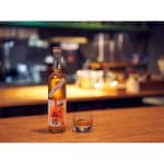 池亀 果凍梅酒 圖片4