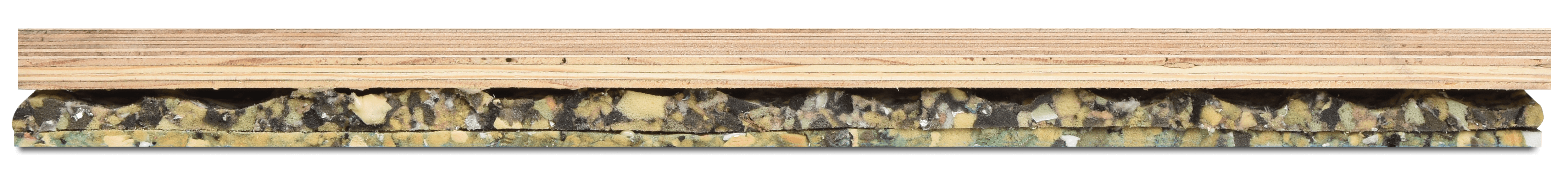 Connor Sports Pro Forma 2