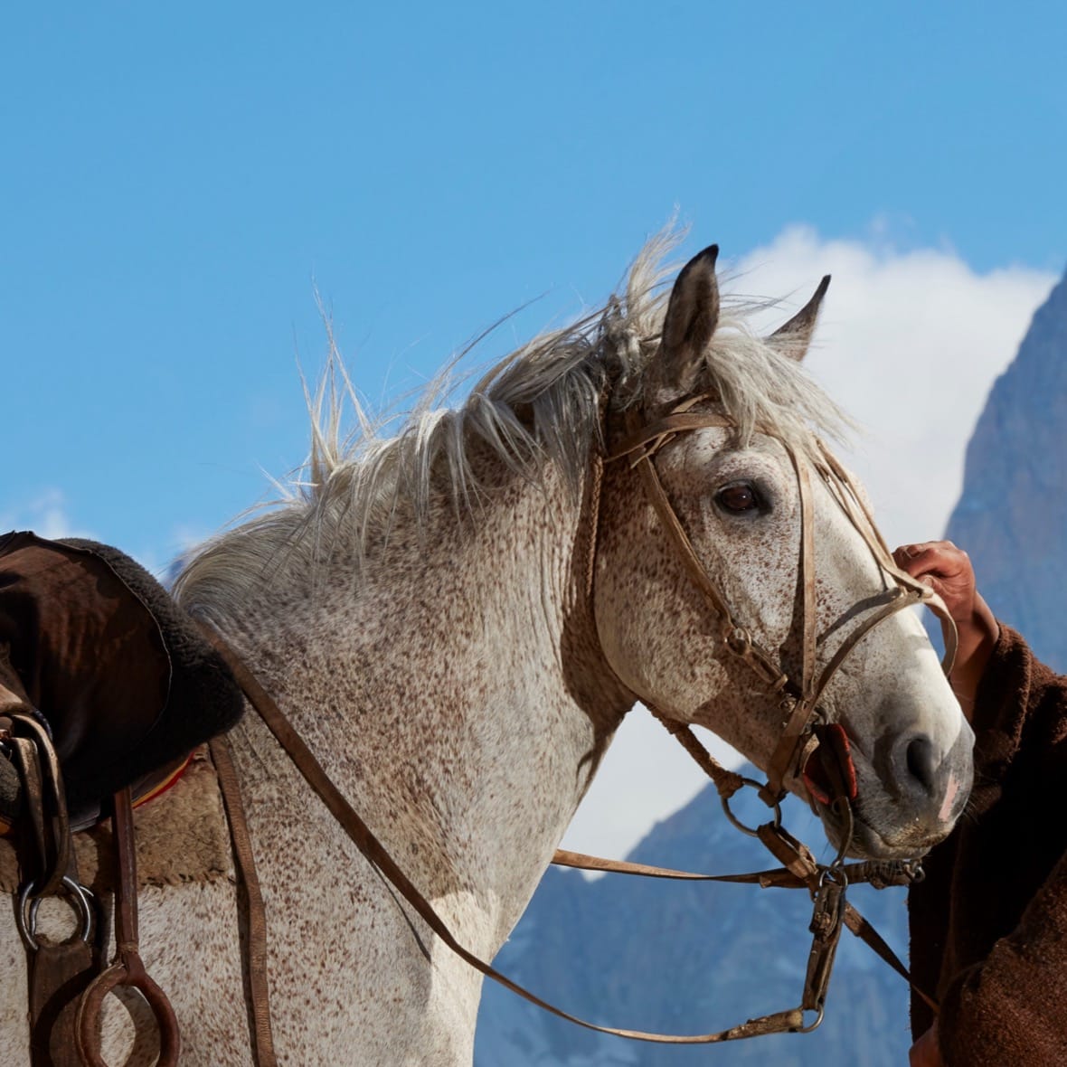 Estancia Bonanza: Cabalgata Corta