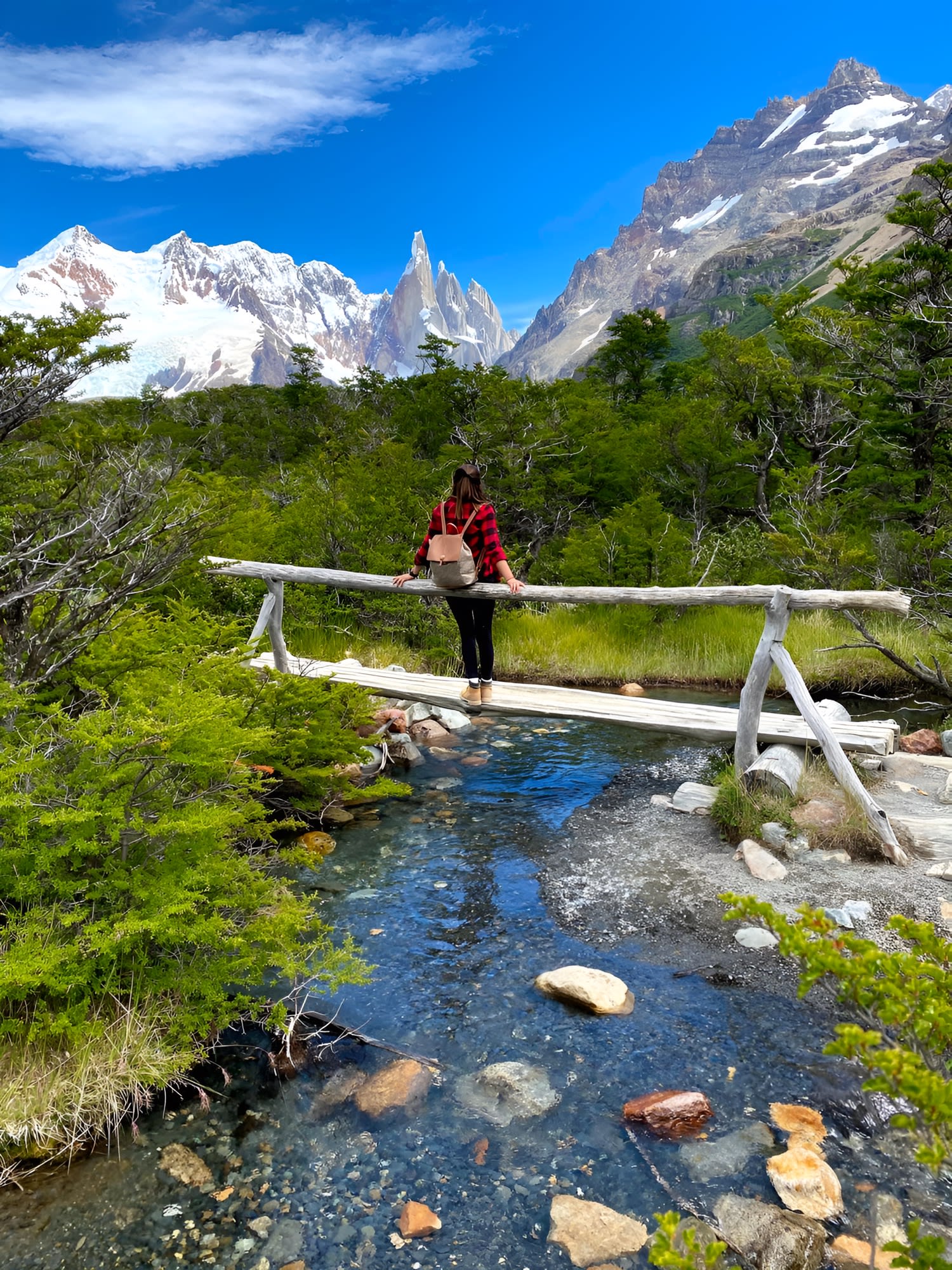 Trekking de 6 hs por el bosque