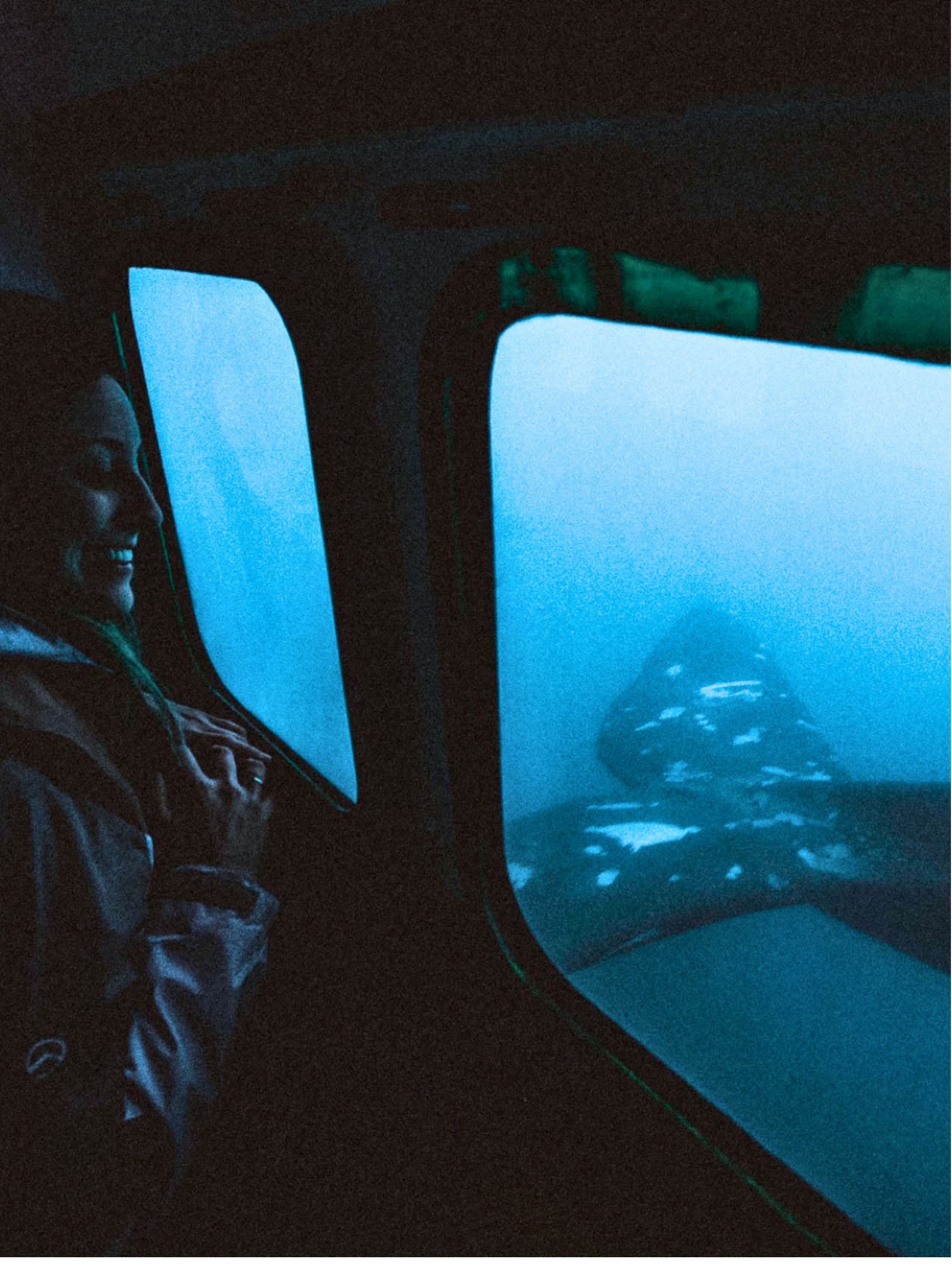 Avistaje Submarino de Ballenas