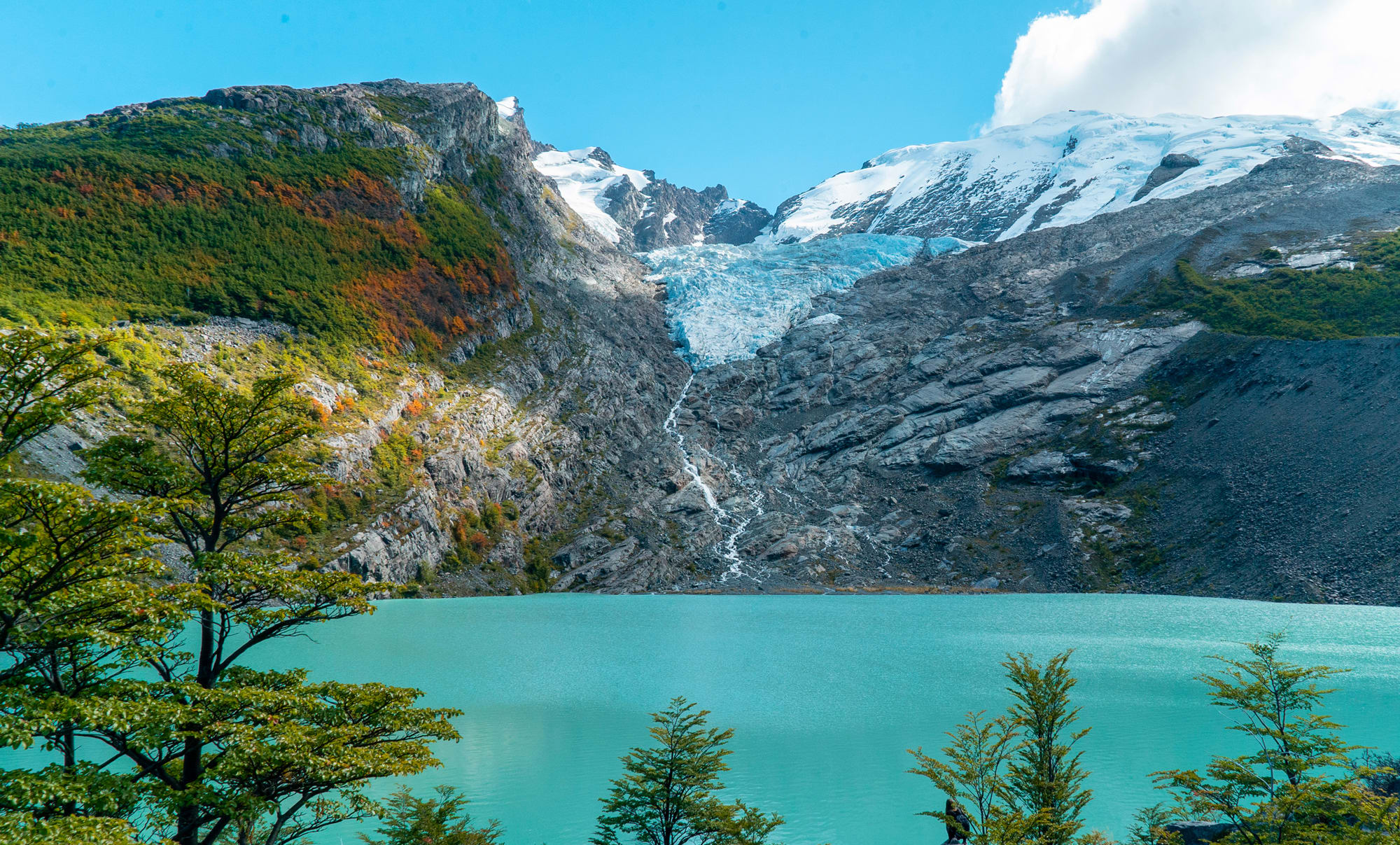 Lago del Desierto: Huemul y Vespignani
