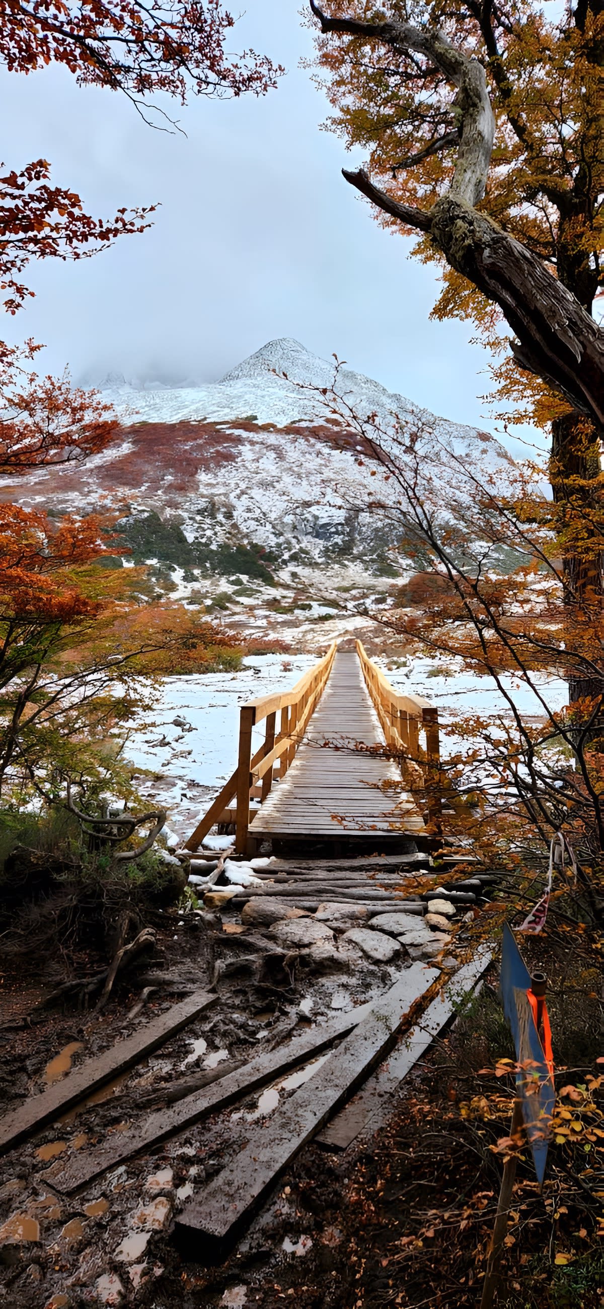 Trekking Laguna Esmeralda