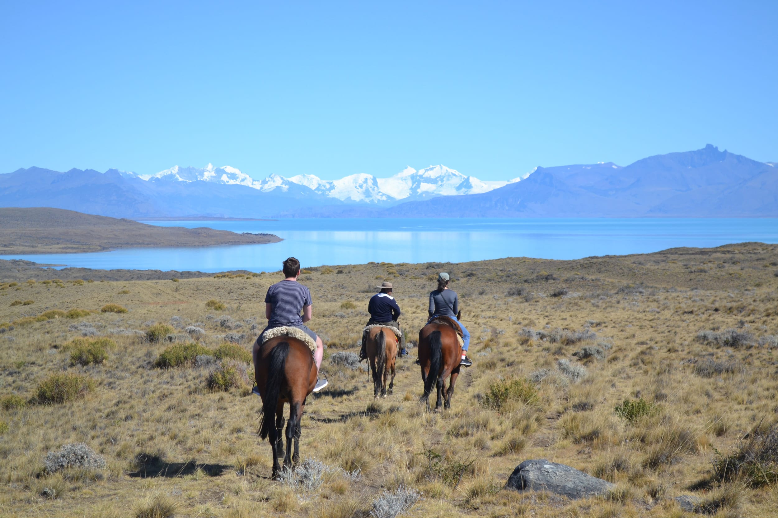 Cabalgata corta a Bahía Redonda