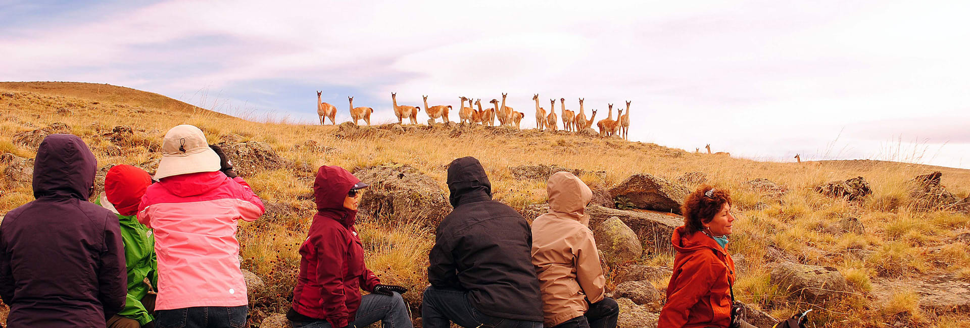 Safari Experience: Tour Fotográfico
