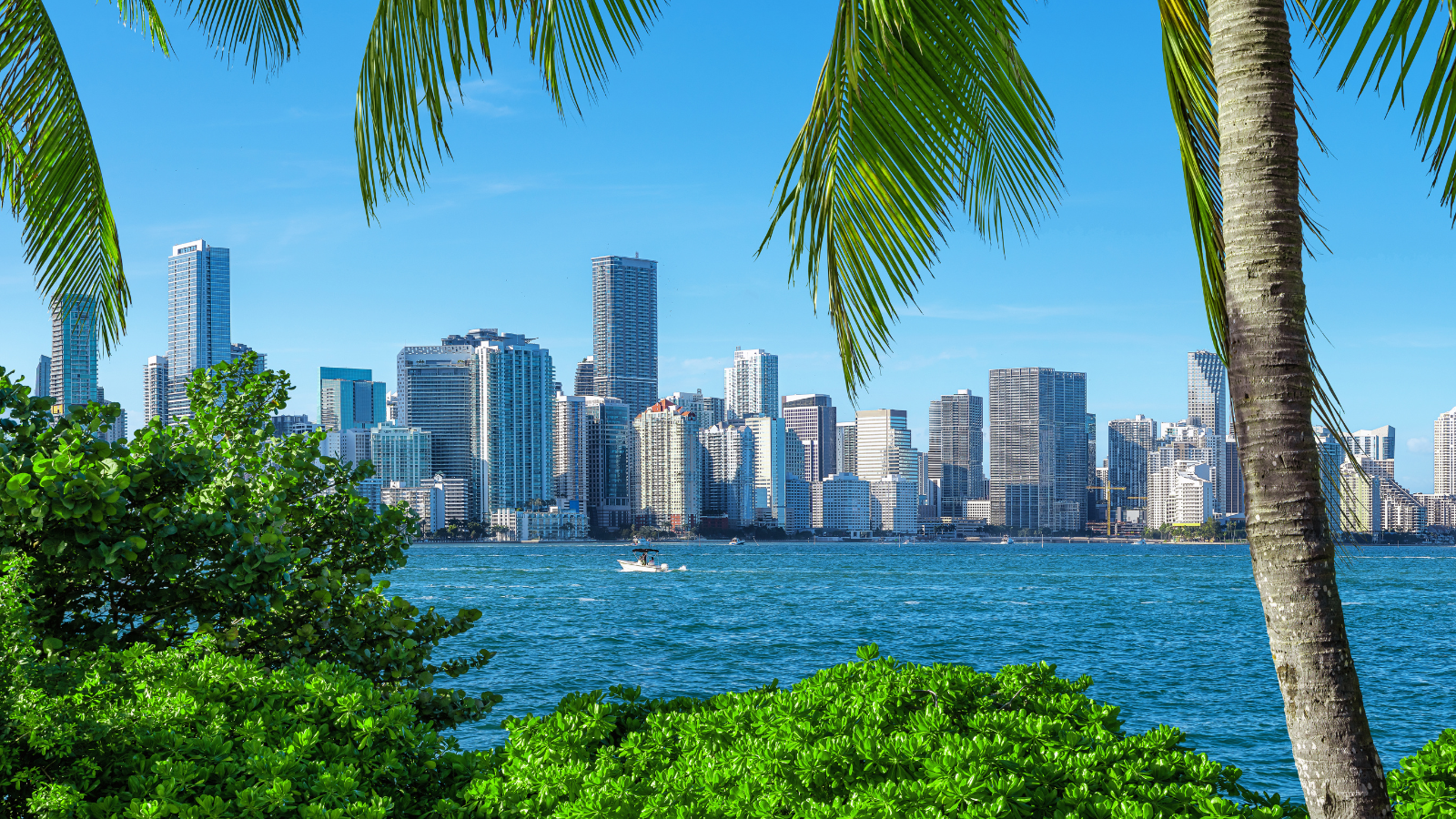 Best Taco Franchises to Open in Florida