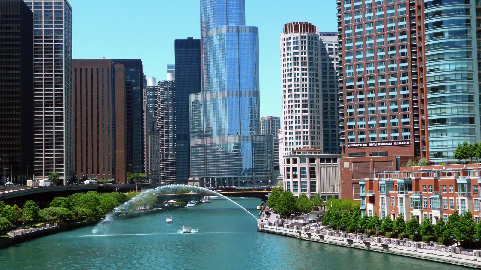 Best Taco Franchises to Open in Illinois