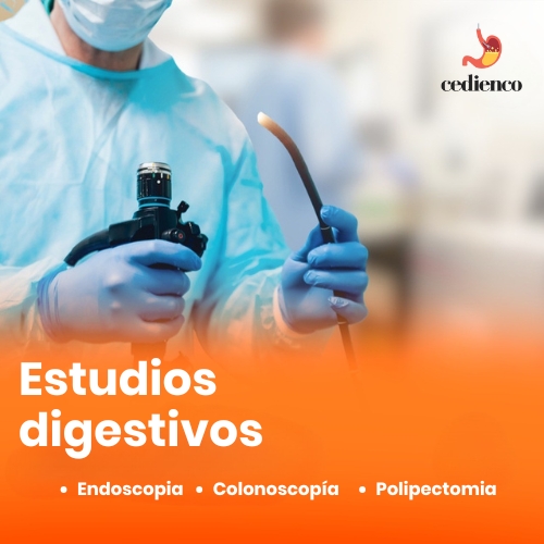 Estudios digestivos