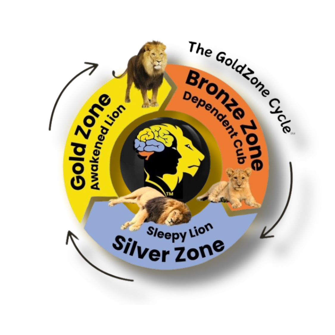 GoldZone Cycle
