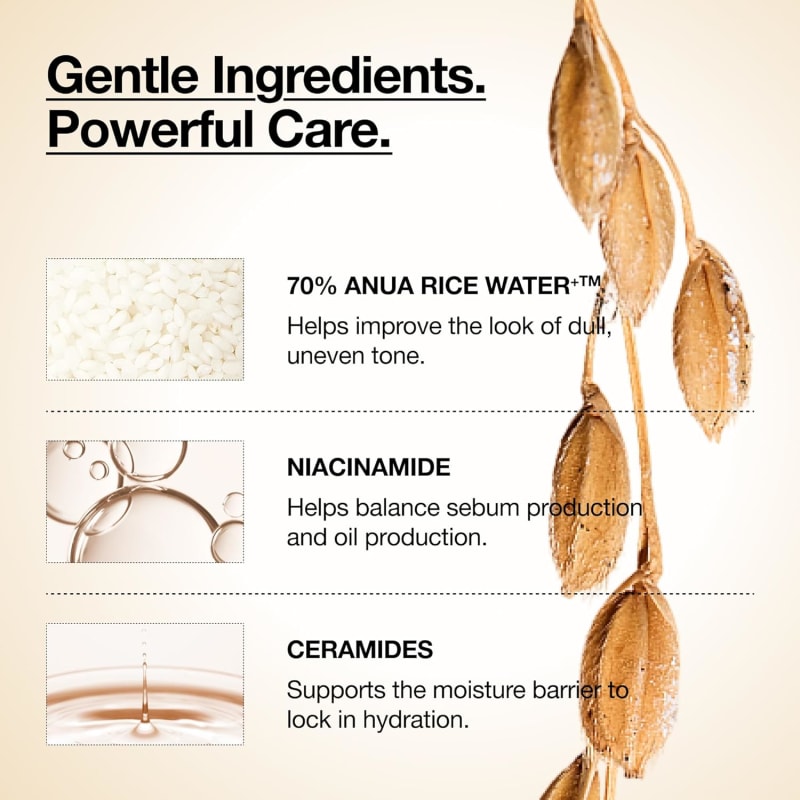 Anua Rice 70 Glow Milky Toner 4