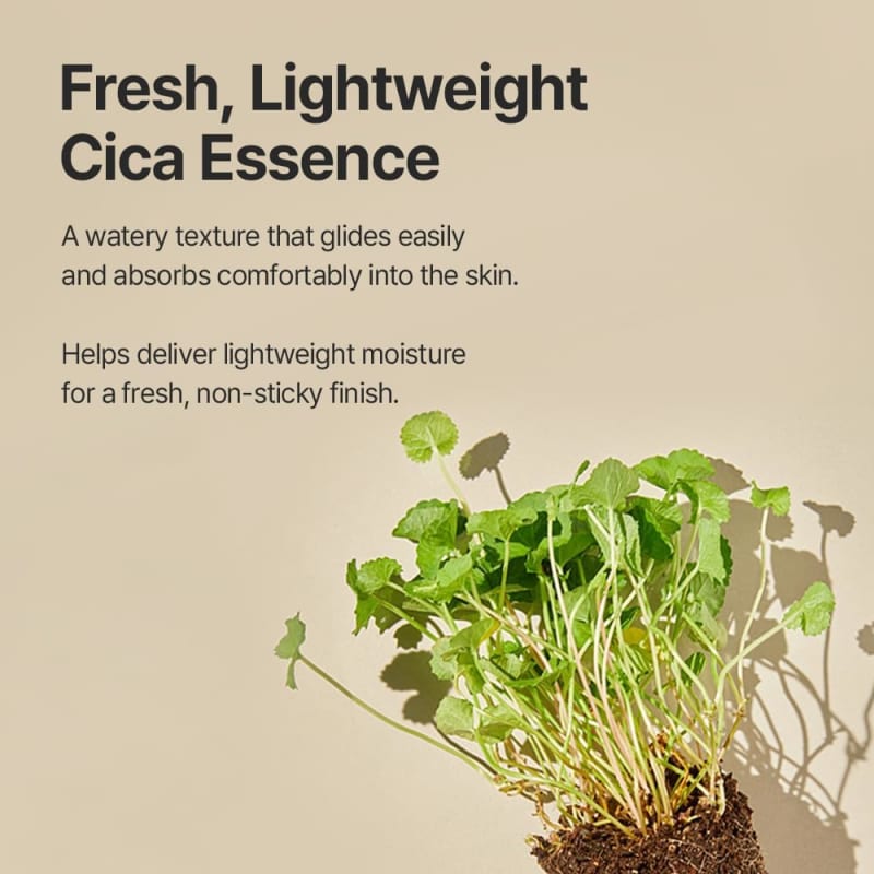 Mixsoon Soondy Centella Asiatica Essence 6