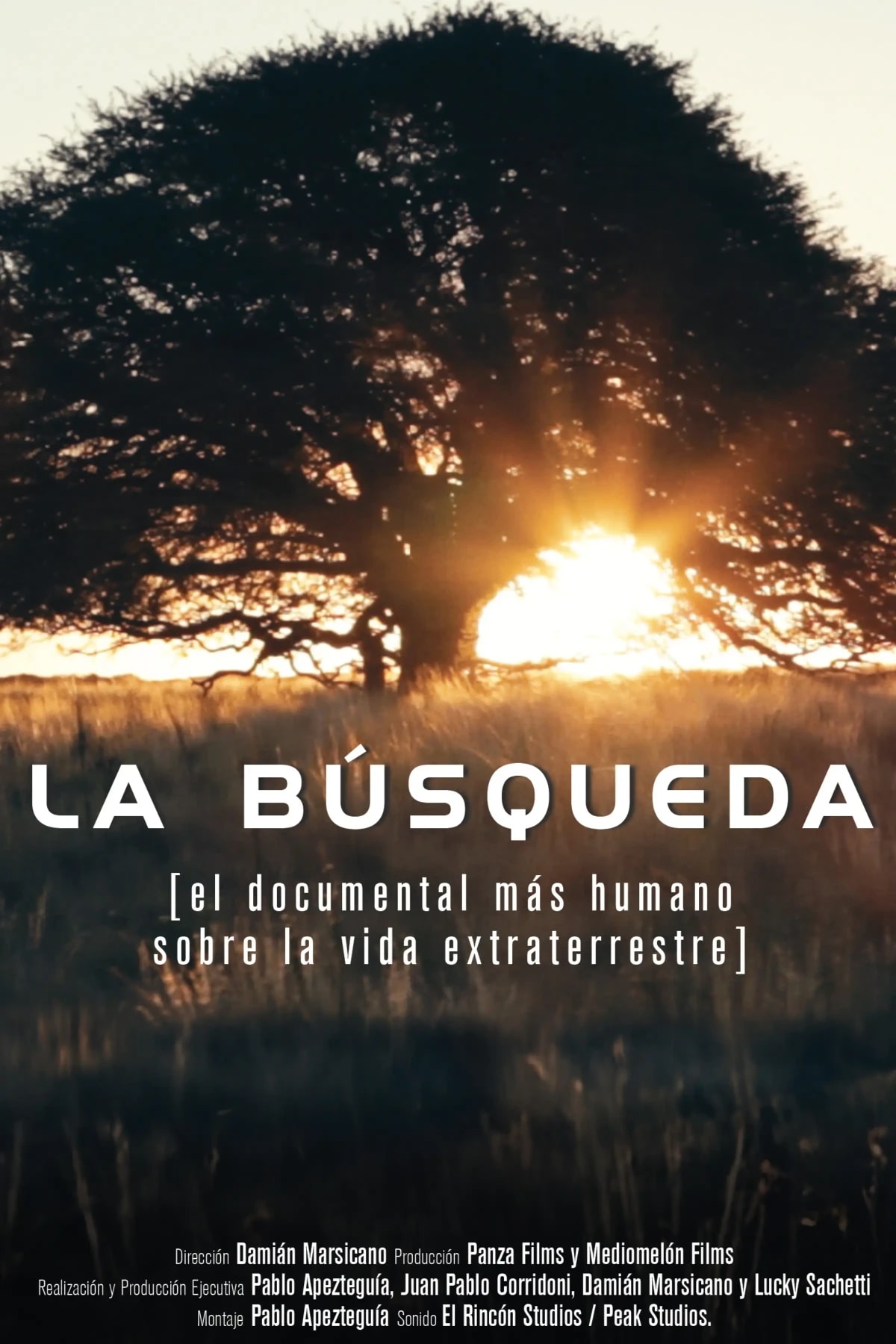 Afiche de La Búsqueda (el documental más humano sobre la vida extraterrestre)