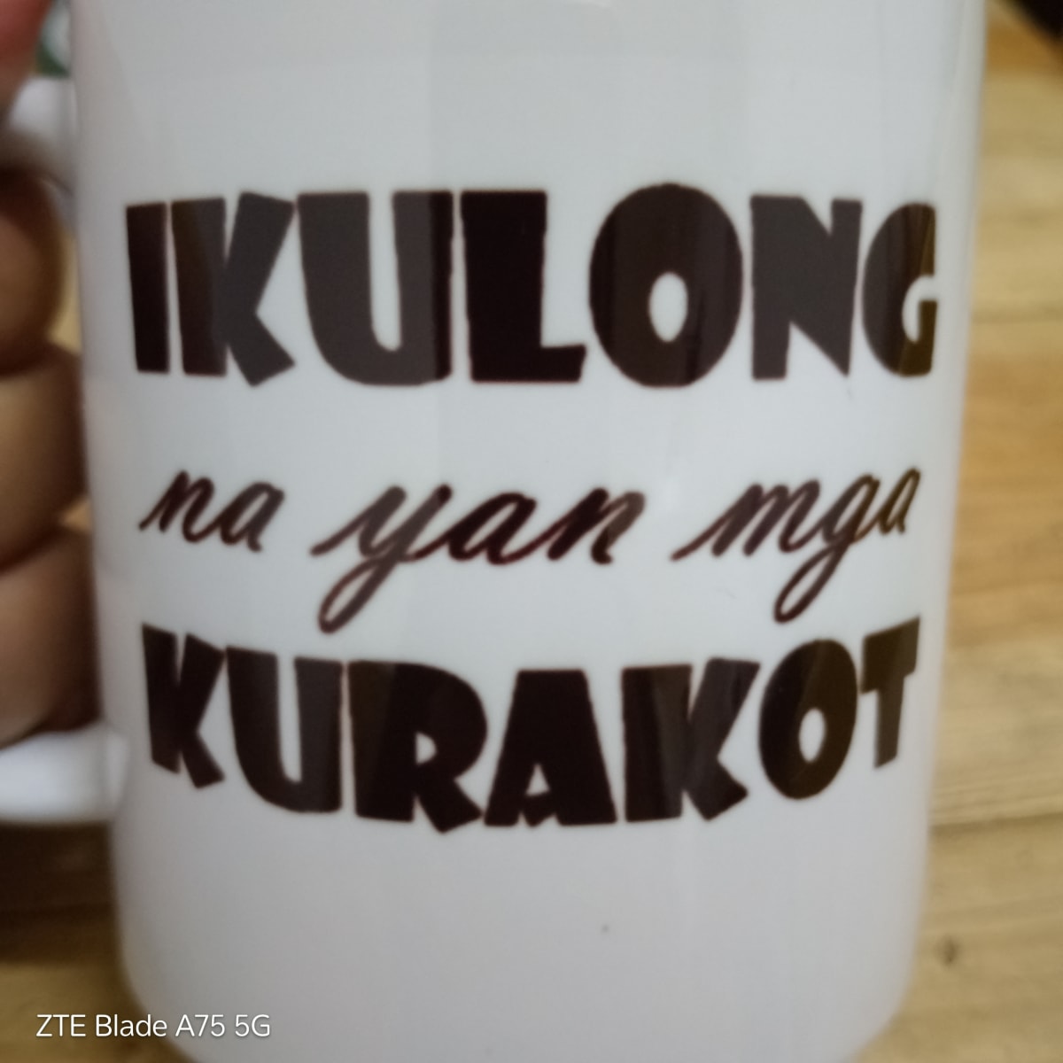 Livelihood project for PWD - Image 1