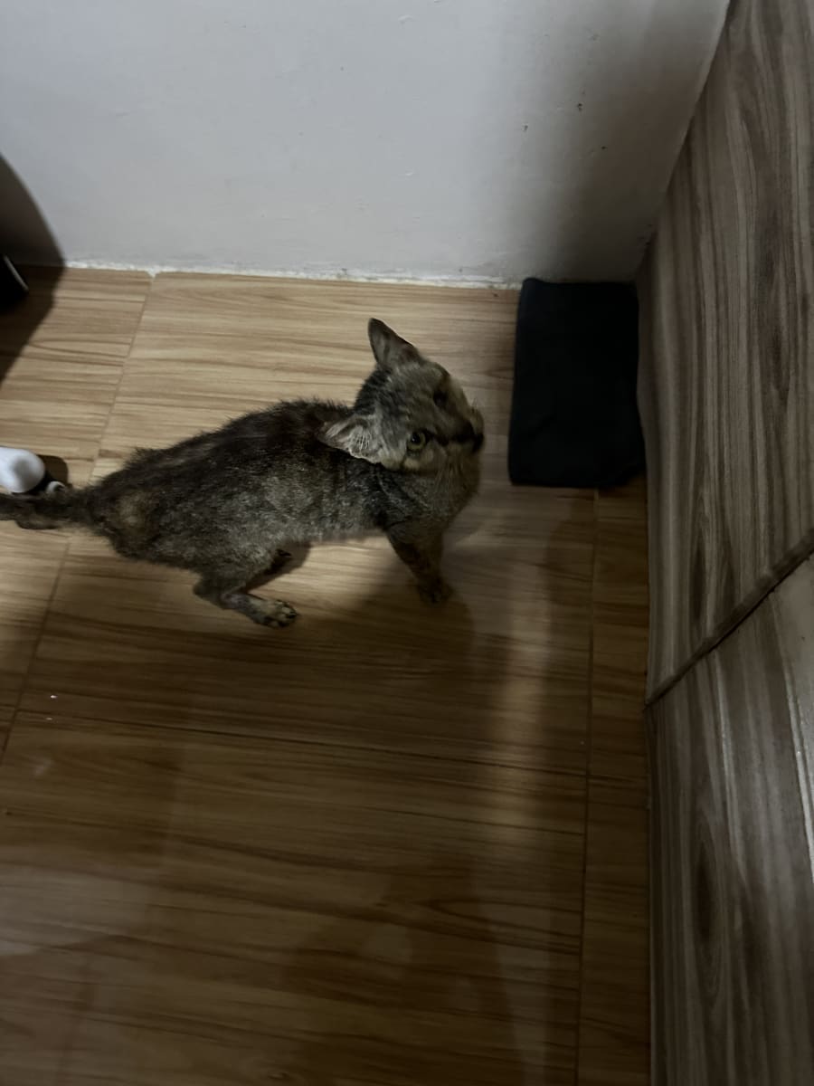 Help us Give Chance another CHANCE for a better Life - Image 3