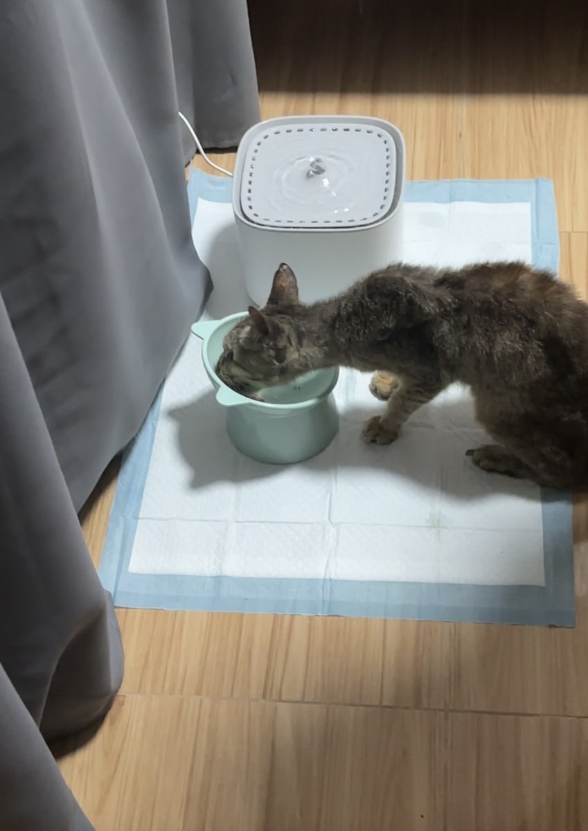 Help us Give Chance another CHANCE for a better Life - Image 4