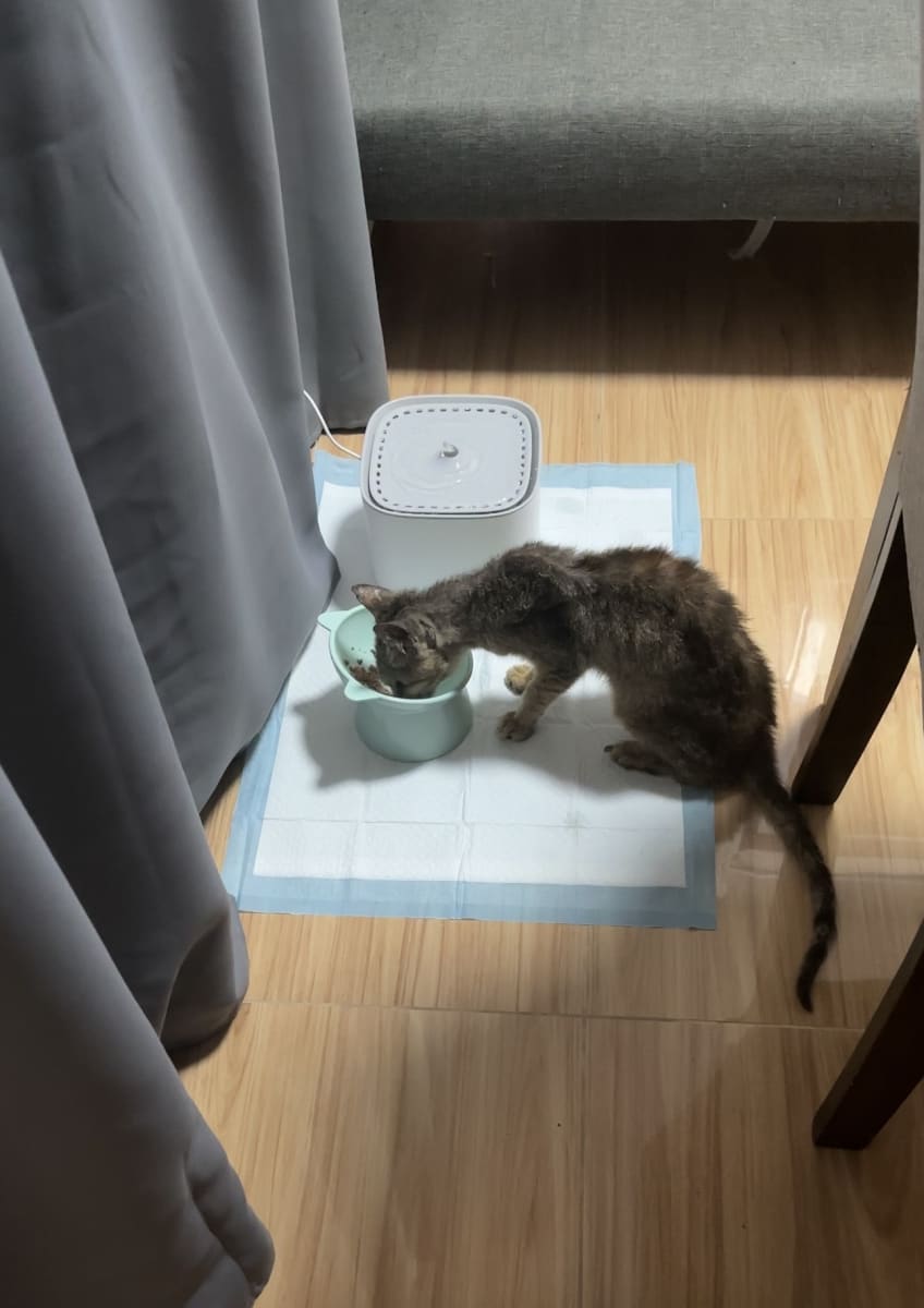 Help us Give Chance another CHANCE for a better Life - Image 5