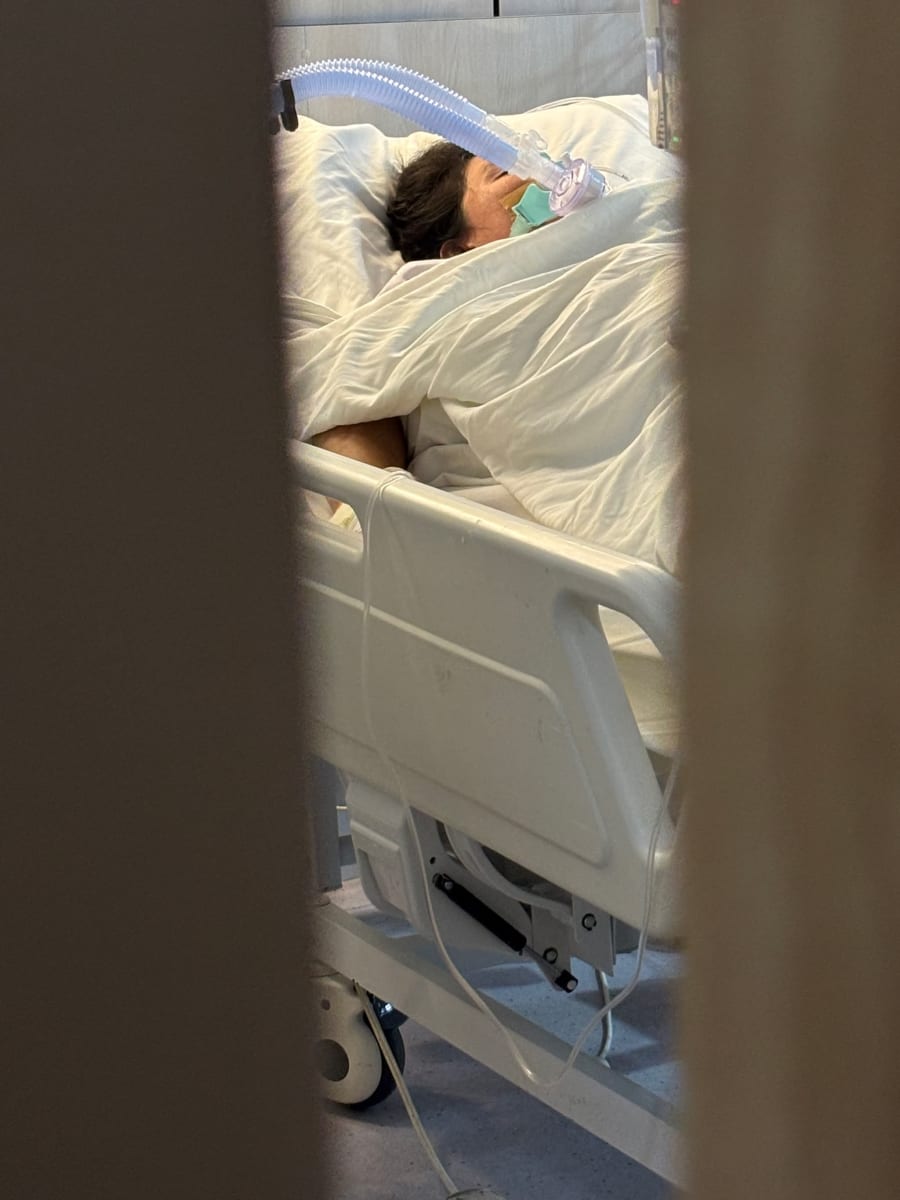 Please Help Us Save Our Mother: Fighting an Aneurysm in the Hospital  - Image 1