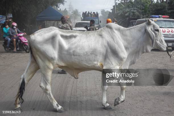ALAGABAY: Gabay sa Alaga, Gabay sa Kabuhayan - Image 2