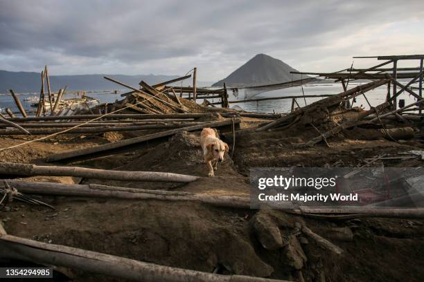 ALAGABAY: Gabay sa Alaga, Gabay sa Kabuhayan - Image 3